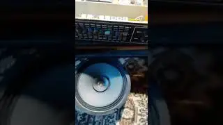 Усилитель Лэми тм 0600