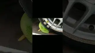 Crushing Crunchy & Soft Things with Car #12