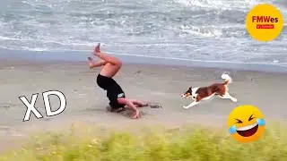 SI TE RÍES PIERDES NIVEL DIOS #187 🤣 [999.99% IMPOSIBLE NO REÍRSE] 😎VIDEOS DE RISA