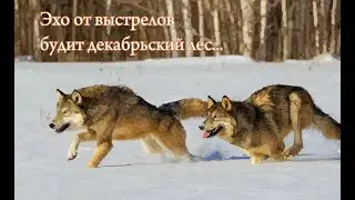Егеря на буранах