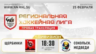 ЩЕРБИНКИ - СОКОЛЬСКИЕ МЕДВЕДИ | 25.02.24