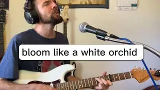 BLOOM - Full original song ♫ Paul Budde Music (2024)