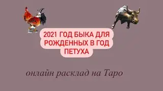 2021 год Быка для рожденных в год Петуха. Таро прогноз. Судьбоносные события!