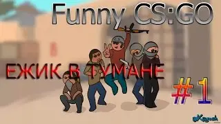 Funny CS:GO #1 Ежик в тумане)