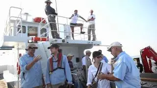 Rough Cuts - Shark Tagging