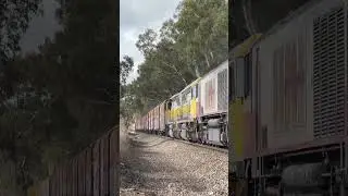QUBE loco transfer on SCT freight train #railway #australiantrains #train #intermodaltrain