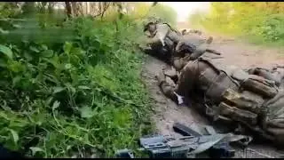Kadyrow Tik Tok Armee wenn Büsche Zurück Schießen #krieg #russland #ukraine #kadyrov95 #kadyrov_95