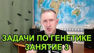 Задачи по генетике - 3. Механизм мейоза. Аллельные гены
