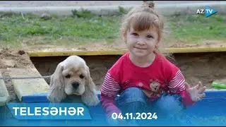 Zoofobiyadan necə azad olmaq olar? | TELESƏHƏR – 04.11.2024