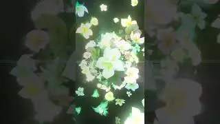 Finally Got Verina in Wuthering Waves