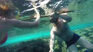 море літо єгипет