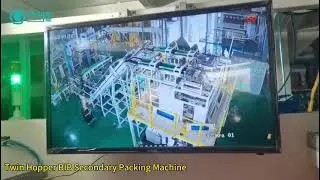 Twin hopper BIB secondary packing machine | rice seed 500g*60 bags | Operation speed: 130bpm