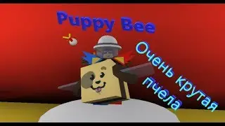 Купил Puppy Bee за 500 тикетов в симуляторе пчеловода