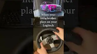 Do you have a younger brother?😃 | Logitech G27
