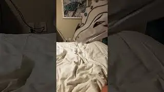 Idk what to put here