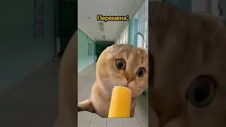 Съели сосиску в тесте😱 Пародия на @Danya_rodnoy 