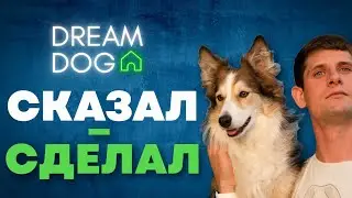 Все о командах 🐶 Как собака видит команды и как правильно научить 🐕 Как щенок понимает слова 🐩