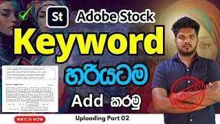How to Find SEO Optimized Keyword For Adobe stock in Sinhala