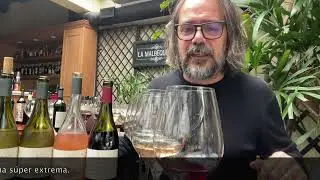Copados: Vinos Bodega Otronia