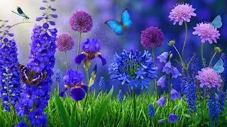 (NO ADS) RELAXING MUSIC FOR HEART & BLOOD VESSELS 🌿 – Calm Anxiety & Heal Your Mind & Body
