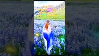 Спасибо рассвет, что ты опять есть в жизни моей.