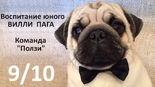Воспитание юного Вилли Пага N9/10 - 