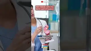 Hematuria : Kenali Penyebab Kencing Bercampur Darah