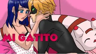 HISTORIA DE AMOR ADRINETTE | Miraculous Ladybug Comic Español.