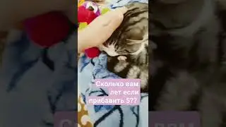 11 января 2024 г.