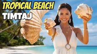 Tropical Beach by TimTaj & Tropical Music