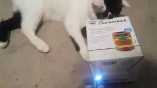 ORIO IN A BOX