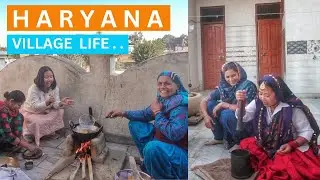 Northeastern Explores Haryanvi Lifestyle for First Time | Dubaldhan Village, Jhajjar, Haryana| India