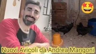 Buon Maestro Buoni Consigli‼️@AndreaMangoni