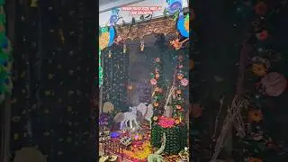 Jhulan Yatra Vibes at ISKM Singapore 🙏♥️🇸🇬 
