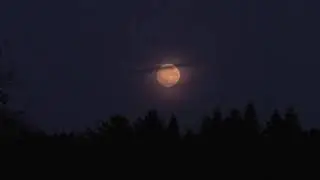 Нарезка видео. Рыбалка. Природа.