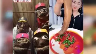 You hungry? (part 2) | Cotton Mouf