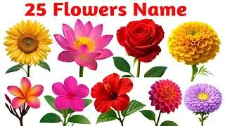 Flowers Name in English And Hindi With PDF | फूलों के नाम | flowers with pictures |