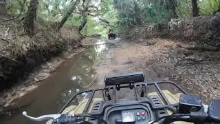 Epic Creek Ride on Four Wheelers(ft. Austin Rattai)