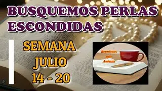 Busquemos perlas escondidas. Semana Julio 14 - 20