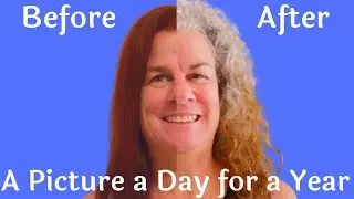 A picture a day for a year-Transition to Gray Hair