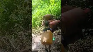 Strongest man at Mompani block point 2024