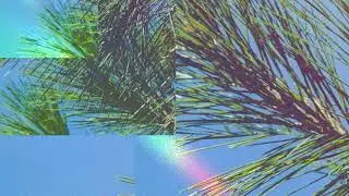 qntk - shade**++