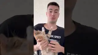 #reels #shorts #смешно #хочуврек #юмор #отношения #tiktok #хочуврекомендации #жиза
