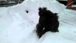 По-соседски