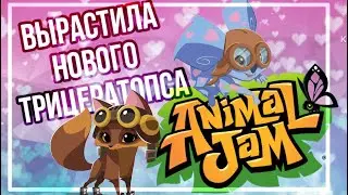 ВЫРАСТИЛА нового СТЕГОЗАВРИКА • animal jam • энимал джем • Симулята  #animaljam #aj #энималджем 🫨✨