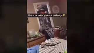 Lass Frooby Noop