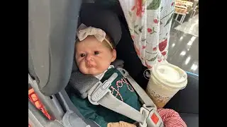 Reborn Dolls Outing Videos Target
