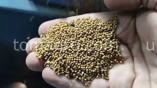 Вибропневмостол ВПСЗ-1 (Gravity separator). Продукт испытания: горчица.