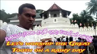 Let's worship the Great Tooth on a rainy day 🙏 වැසිබර දවසක උතුම් දළදා වහන්සේ නමදිමු 🙏 #travel #world