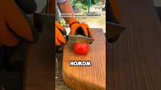 When a knife cuts a cracker, and a tomato cuts like a laser 🔪💨